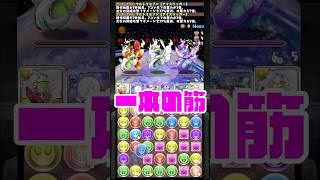 パズドラで回復2段落としパズル練習してみた！#パズドラ #パズル #コンボ