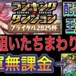 【王冠狙いたちまわり解説 自軍無課金編成】ブライダル2025杯ランキングダンジョンの王冠狙いたちまわり解説！超つなげ消しの分かりやすいたちまわりや組みやすい盤面を紹介してます！【パズドラ】