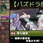 【パズドラ】メイドペルセポネで闘技場を攻略！闇属性パーティーでどこまで行ける？ 2年半ぶり復帰！メイドペルセポネで闘技場に挑戦！イデアルは必須？メイドペルセポネで闘技場攻略は可能か？2025年6月1日