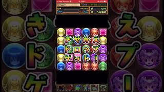 ブライダル＆3連ゴッドフェス配布ガチャ（2垢）【パズドラ】