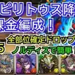 デスピリトゥス降臨　無課金編成！　部位破壊5　正月ノルディス
