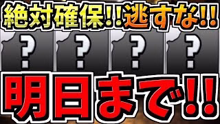 【明日まで】逃すとマズイ絶対確保して！最強無課金キャラ5体,魔法石71個相当,無料ガチャ4回分など！一挙に紹介解説！【パズドラ】