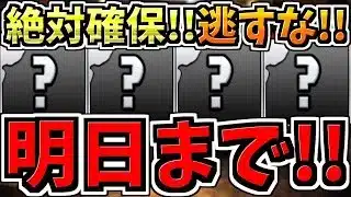 【明日まで】逃すとマズイ絶対確保して！最強無課金キャラ5体,魔法石71個相当,無料ガチャ4回分など！一挙に紹介解説！【パズドラ】
