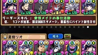[パズドラ]執事・ゼウス&メイド・ヘラ降臨！マルチ6ターンずらし編成！