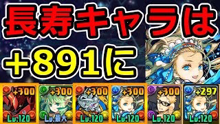 【最優先で+891にすべき】バレンタインノアで＋限界突破コロシアムをずらし周回！【パズドラ】