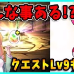 【無課金パズドラ】クエストLv9がキツすぎたのであのキャラで攻略したい！凄いことが起きました…【メイドガチャ】