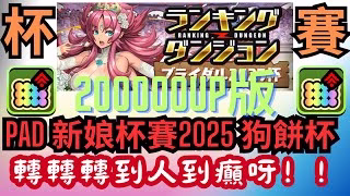 【パズドラ】【PAD】【200000UP版】新娘杯2025 狗餅杯  無課金編成  轉轉轉到人都癲 狗餅出來啦 ブライダル2025杯 無課金編成 200000UP