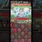 【パズドラ】初見あるある！ブライダルコロシアム/ヤメ〜こまる #パズドラ #アイズ #リュー #フリック #ブライダルコロシアム #ga文庫コラボ #ダンまちコラボ