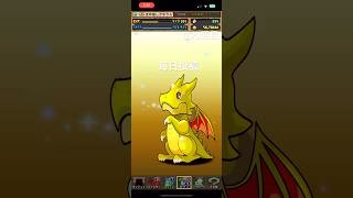 ガチャpart1290【2025/4/14】#パズドラ #毎日投稿