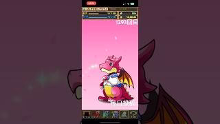 ガチャpart1293【2025/4/17】#パズドラ #毎日投稿