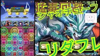 【パズドラ】毒無効化シャオチューフが最強すぎた！古いダンジョンを蹂躙！シャオチューフは新時代のリーダーか！？「毒を消して無効化」パズドラの常識を覆す！おじさん復帰勢が発見！毒無効　吸収無効が課題？