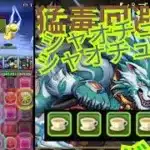 【パズドラ】おじさん復帰勢が推す！「シャオチューフ」最強伝説！シャオチューフは本当に強い？騒音の中で降臨ダンジョン攻略してみた結果…！猛毒無効！古いダンジョン周回！この耐久力、ヤバいぞ！