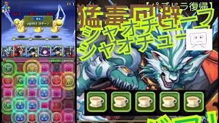 【パズドラ】おじさん復帰勢が推す！「シャオチューフ」最強伝説！シャオチューフは本当に強い？騒音の中で降臨ダンジョン攻略してみた結果…！猛毒無効！古いダンジョン周回！この耐久力、ヤバいぞ！