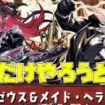 【パズドラ】執事ゼウス＆メイドヘラ降臨を少しだけ周回します【スタジオロキ】
