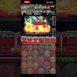 『周回最強』メイドセイナ×狐爪研磨 汎用テンプレ編成【パズドラ】