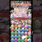 【パズドラ】ブライダルコロシアム嫁フェノンで行く/ヤメ〜こまる #パズドラ #嫁フェノン #フェノン #ブライダルコロシアム #コードギアスコラボ #ガンダムコラボ