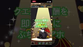クエスト報酬即ガチャにぶちこむアホ #パズドラ #ガチャ動画