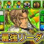 【最強】メイドイデアル無しでも最強！？ 新キャラの『バーマスターアレキサンダー』3体ループ編成がぶっ壊れすぎる！！！！ 【パズドラ 酒イベ ミモザ】