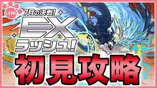 【パズドラ】7月のクエストEXラッシュを推しキャラで初見攻略！【雑談】