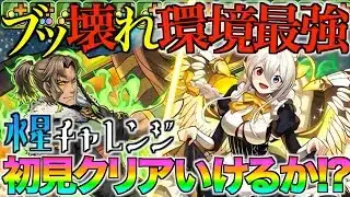 パズドラ【ぶっ壊せ‼︎】環境最強多色PTで水星初見チャレンジしたら〇〇出てきた件についてｗｗｗ【豪快なバーマスター・アレキサンダー】【博愛メイド・イデアル】
