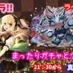 パズドラ🌟ライブ配信🌟まったりガチャとクエスト🐕️雑談枠🐶