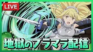 アプデで演出だけ増えたプラマラ周回【パズドラ】
