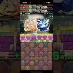 一生のお願い事【パズドラ】