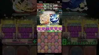一生のお願い事【パズドラ】