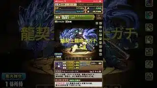 パズドラ　龍契士龍喚士ガチャ！