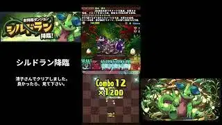 【パズドラ】シルドラン降臨　魔法石５個獲得
