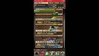 パズル&ドラゴンズ　　転生エジプト神ガチャ