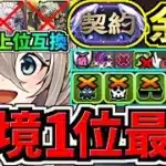 【環境1位】ぶっ壊れイデアル×最強相方〇〇！スタメン2体更新でさらに強くなった最強テンプレ解説！契約チャレンジ周回！メイドイデアル編成！代用・立ち回り解説！【パズドラ】