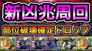 【パズドラ】スーパーノエルドラゴンなどを集めよう！部位破壊確定ドロップ！全敵対応！再臨の超星！星砕の兆龍！1周7分台！善逸編成で安定周回！【新凶兆】【概要欄に詳細など記載】