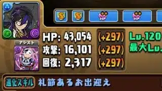 【パズドラ】執事クロトビ上方修正！？より最強になったジントニ×クロトビでEXラッシュ粉砕！！！