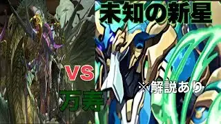 【パズドラ】ノーチラス最強時代を取り戻す！万寿編※解説付き