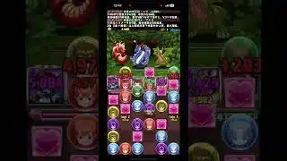 パズドラ⑤
