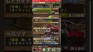 パズドラ  ガチャ