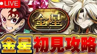 【パズドラ配信】金星チャレンジ 初見攻略！！俺がくじけることは絶対にない配信！！【パズドラ実況】