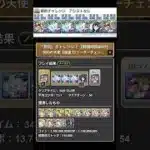 【パズドラ】契約チャレンジ アシストなし編成
