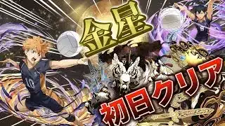 金星チャレンジを日向&影山で攻略！！【パズドラ】