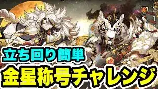 【立ち回り簡単】金星称号チャレンジ クリア編成・立ち回り紹介！！【パズル&ドラゴンズ/#パズドラ】