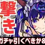 【解説&ガチャ】夏ガチャとどっち優先？メイドガチャ解説してガチャったら事件起きた【パズドラ】