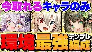 【全員組める最強編成】メイドイデアルのテンプレ編成で契約チャレンジ攻略！代用&立ち回り解説！【パズドラ】