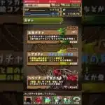 【10連ガチャ】パズドラ