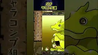 【魔法石10個！SDF】ラスト5連。。。 #パズドラ