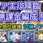 ラファエル降臨　無課金編成　試練ノアずらし　部位破壊6