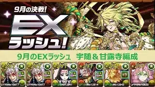 【パズドラ】９月EXラッシュ！　宇随天元＆甘露寺蜜璃編成