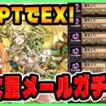 【無課金パズドラ】交換したあのキャラでEXラッシュ！大量のメールガチャで最後に奇跡が…？