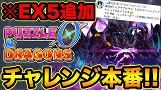 【公式チャレンジ】※激ムズ難易度追加！最強パーティで報酬GETするぞ！パズドラゼロ配信者チャレンジ本番！#4【スー☆パズドラ】