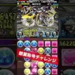 【1撃46億経験値】今週のランク上げ 【#怪獣8号コラボ】【パズル&ドラゴンズ/#パズドラ】